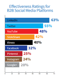 b2b social media strategie