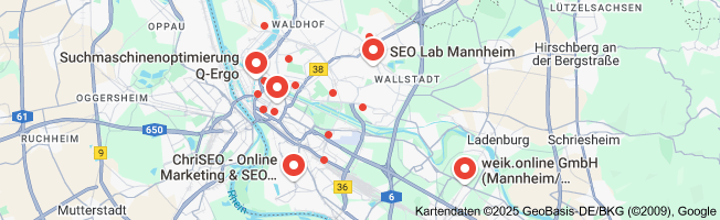 suchmaschinenoptimierung mannheim