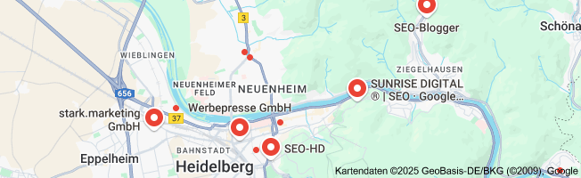 suchmaschinenoptimierung heidelberg