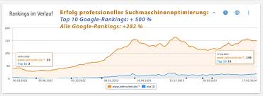 professionelle suchmaschinenoptimierung kosten