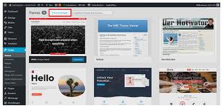 seo wp